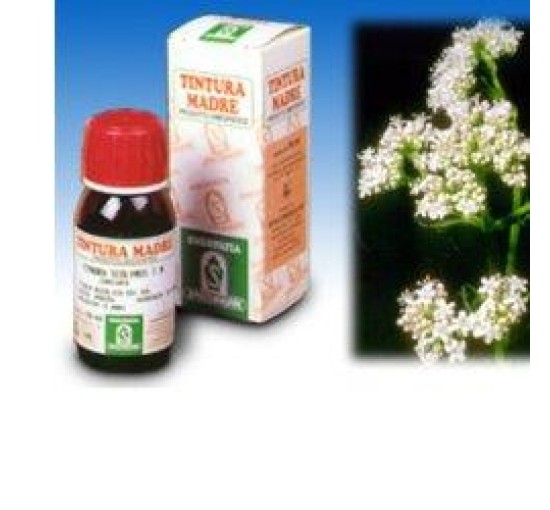 SP.VALERIANA 36 TM 50ml