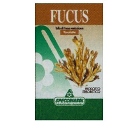 FUCUS 150 Tav.SPECCH.