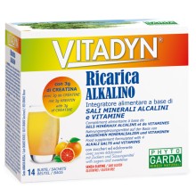 VITADYN Ricarica 14 Bustine Integratore Alimentare (SCADENZA 05/26)