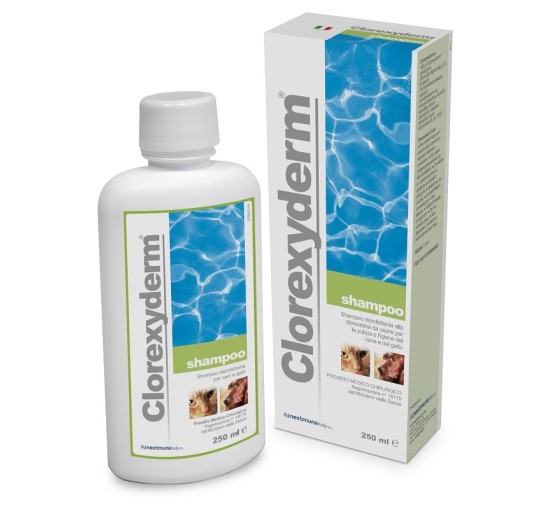 CLOREXYDERM Shampoo 250ml