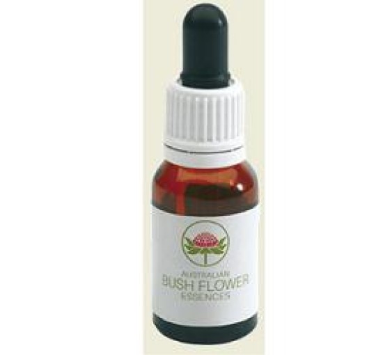 WARATAH AUSTRALIAN Gtt 15ml WARATAH AUSTRALIAN Gtt 15ml
