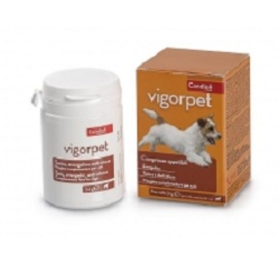 VIGORPET Dogs 20 Cpr