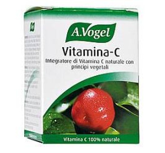 FdL Vitamina C 40 Past.41,5g