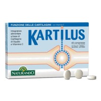 KARTILUS 40CPR NF