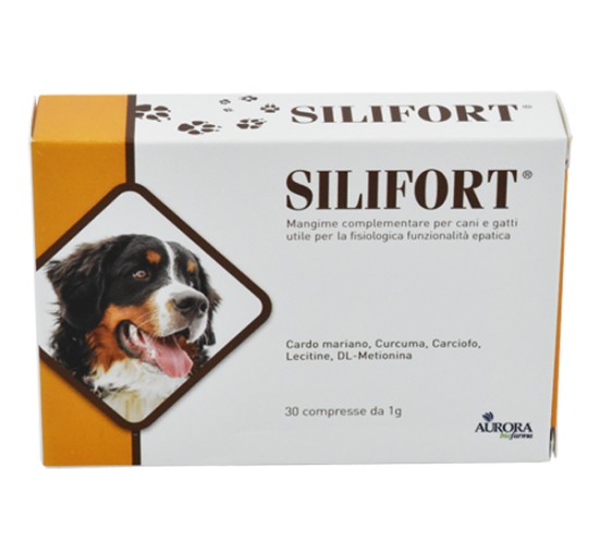 SILIFORT 30 Cpr 1g