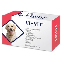 VISVIT 30 Cpr 1g