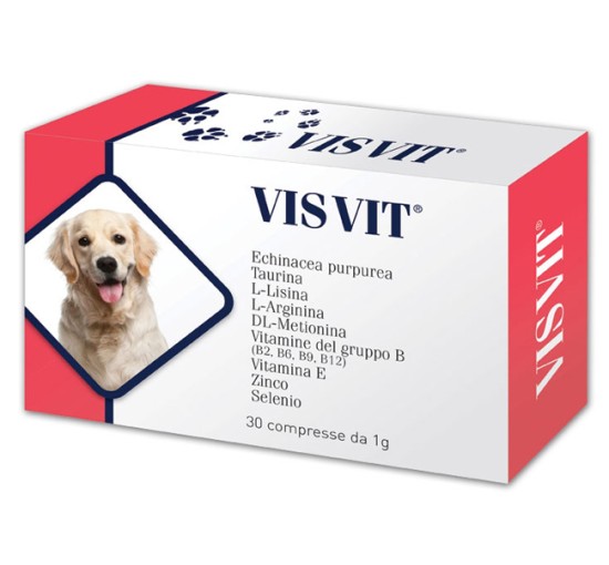 VISVIT 30 Cpr 1g