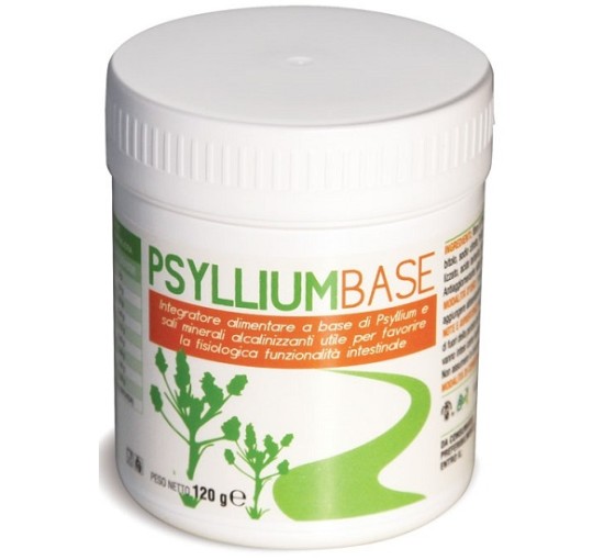 PSYLLIUM BASE POLVERE 120G