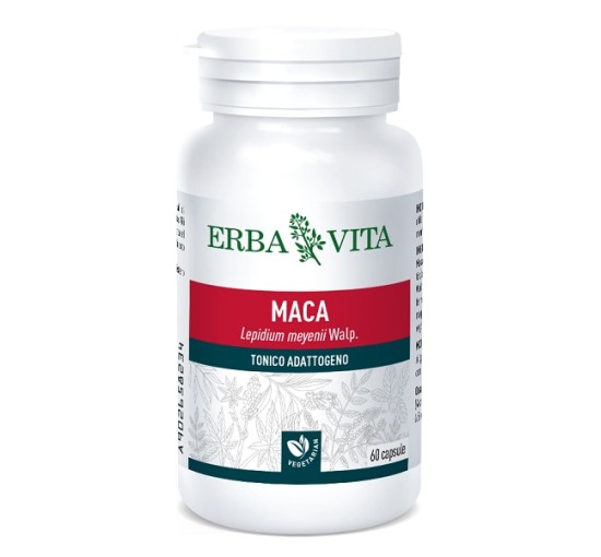 MACA 60 Cps 400mg          EBV