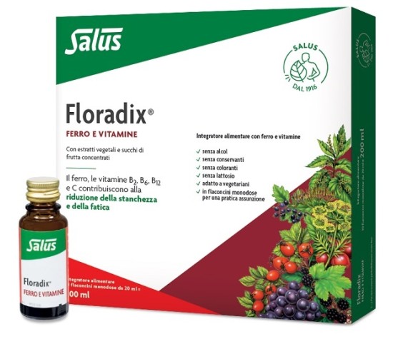 FLORADIX Ferro 10fl.20ml