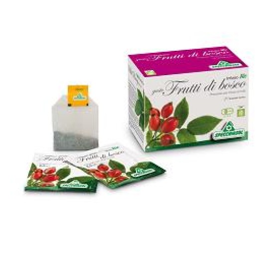 INFUSO Bio FruttaBosco 20F.SPE