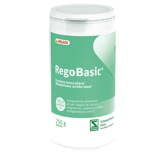 REGOBASIC Polv.250g     PEGASO