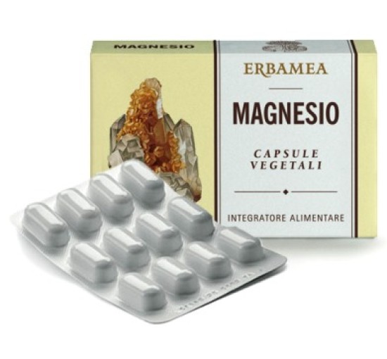 MAGNESIO 24CPS 1200MG