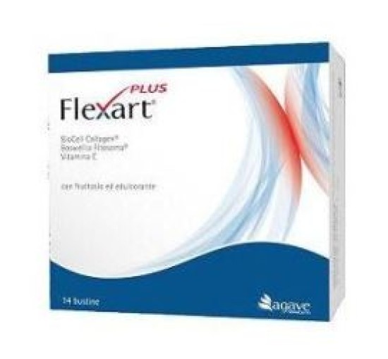 FLEXART Plus 14 Bust.