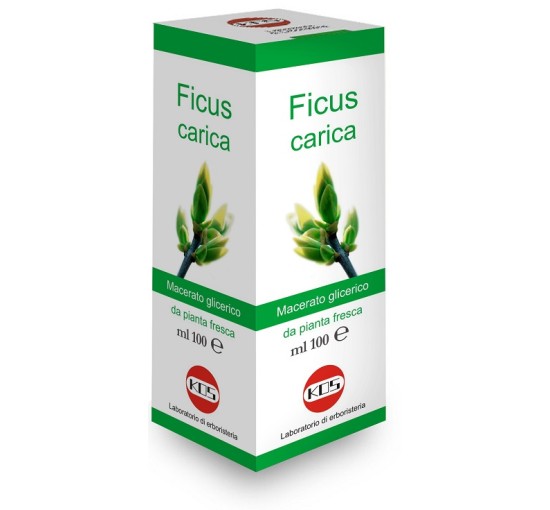 FICUS CARICA MG 100ML GTT