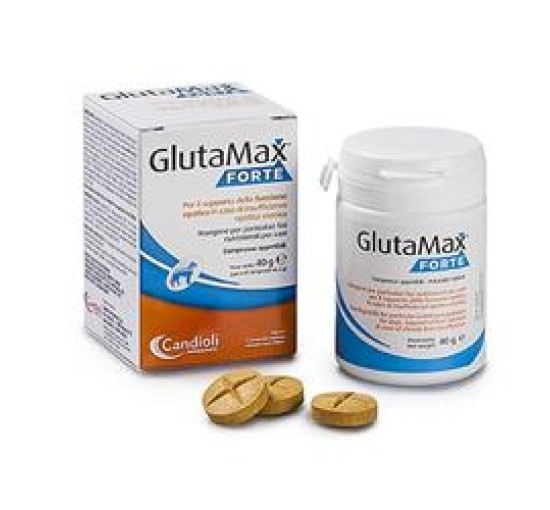 GLUTAMAX Fte  20 Cpr