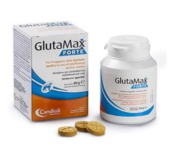 GLUTAMAX Fte  40 Cpr