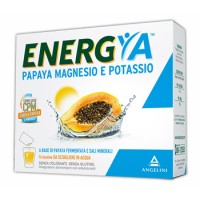 ENERGYA Papaia Ferm.MG/K 14bs
