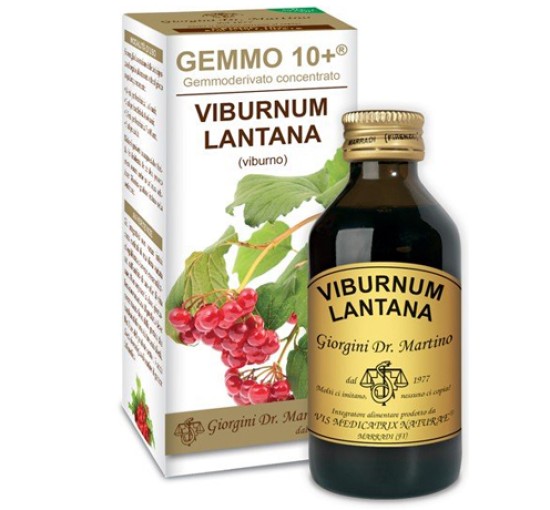 VIBURNO LIQ ANALCOLICO 100ML