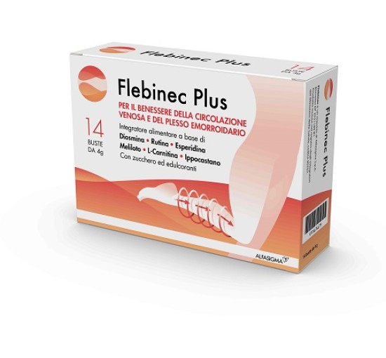 FLEBINEC PLUS 14 BUSTINE 4 G