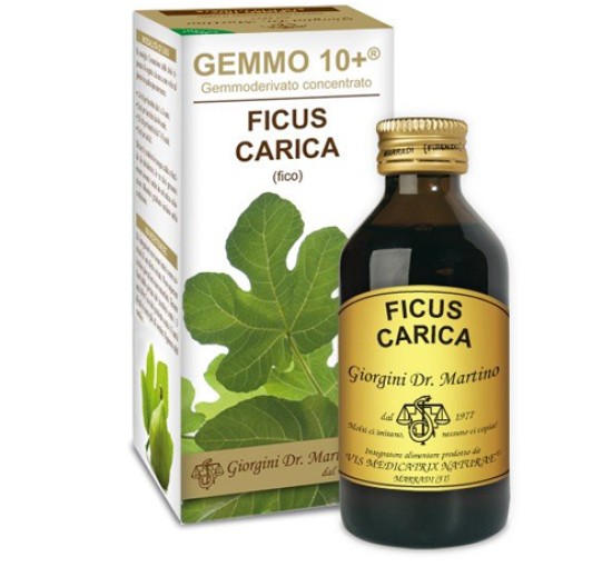 FICUS CARICA Gemmo 10+100ml