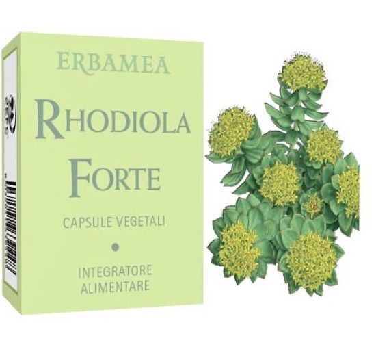 RHODIOLA FORTE 24CPS