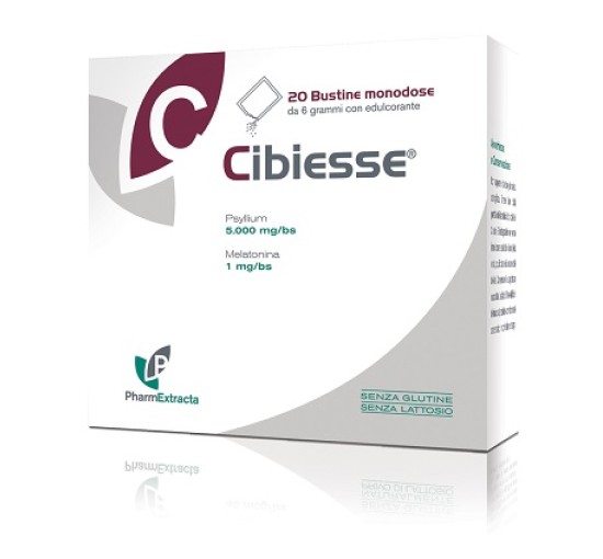 CIBIESSE 20BUST