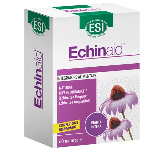 ECHINAID Alta Potenza 60 Cps