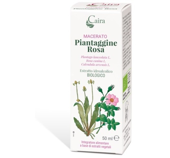 PIANTAGGINE RA MACERATO CAIRA