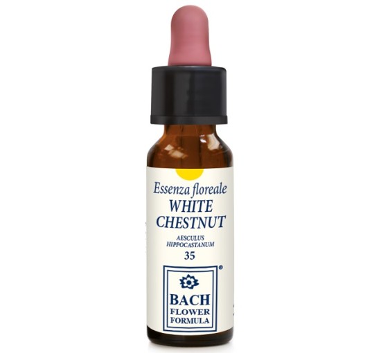 WHITE CHESTNUT ORIGINAL 10ML WHITE CHESTNUT ORIGINAL 10ML