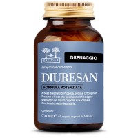 DIURESAN FORM POT SALUGEA60CPS