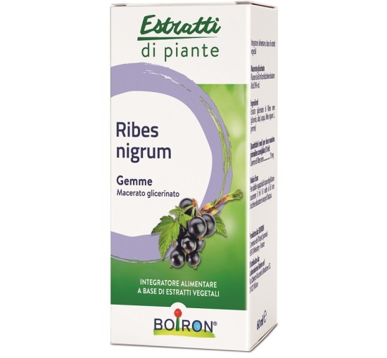 RIBES NIGRUM BOI MG 60ML INT