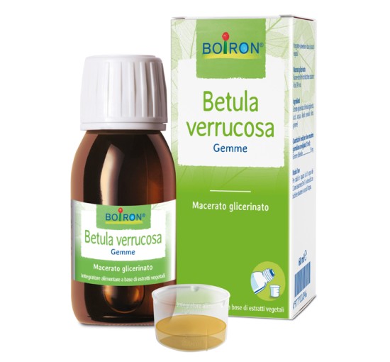 BETULA VERRUCO BOI MG 60ML INT