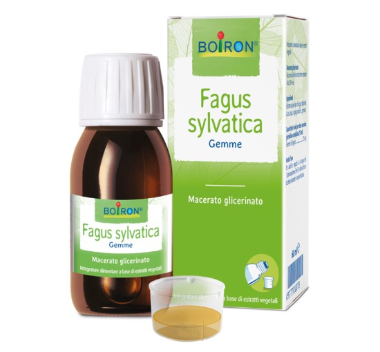 FAGUS SYLVATICA BOI MG60ML INT