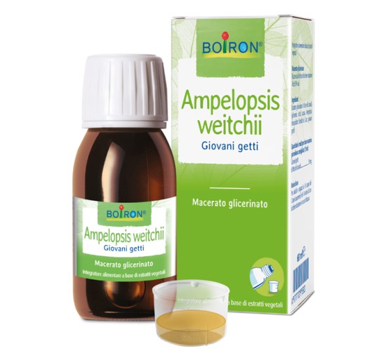 AMPELOPSIS WEI BOI MG 60ML INT