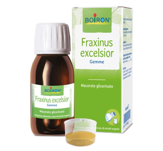 FRAXINUS EXC BOI MG 60ML INT