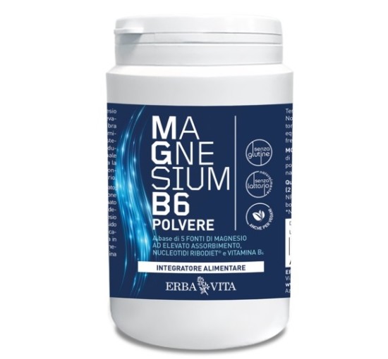 MAGNESIUM B6 Polv.200g     EBV