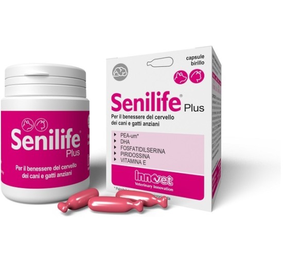 SENILIFE PLUS 60CPS