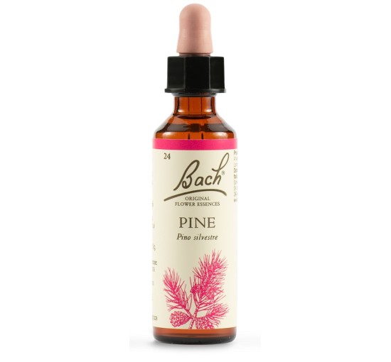 PINE BACH ORIG 20ML