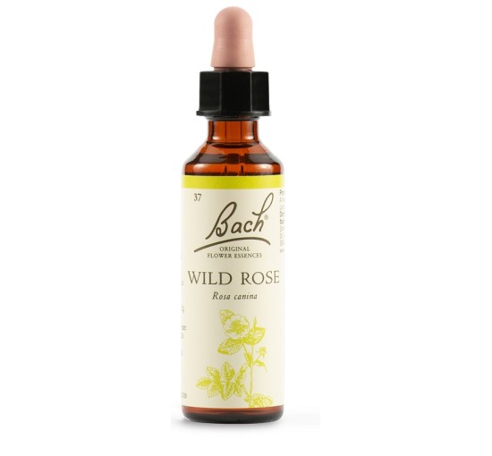 WILD ROSE BACH ORIG 20ML