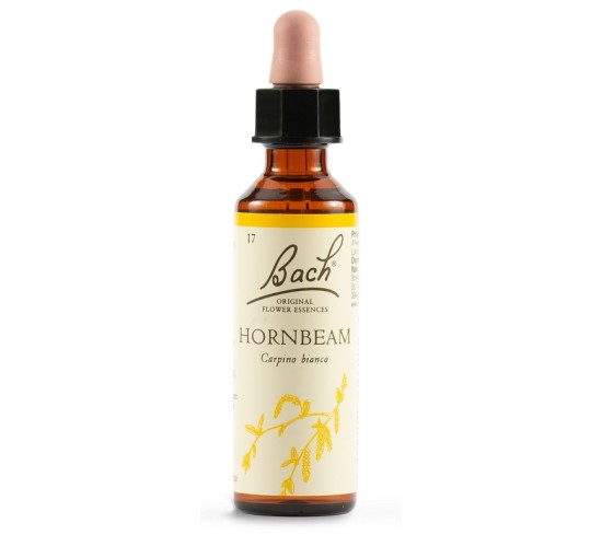 HORNBEAM BACH ORIG 20ML