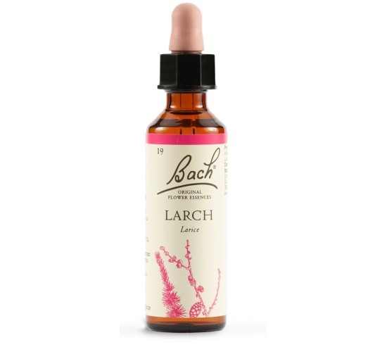 BACH 19 Larch Gtt 20ml