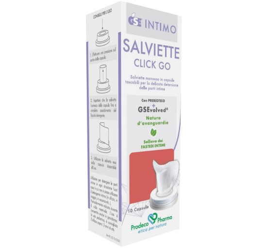 GSE INTIMO SALVIETTE CLICK GO