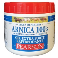 ARNICA 100 S GEL EX FT RAFF500