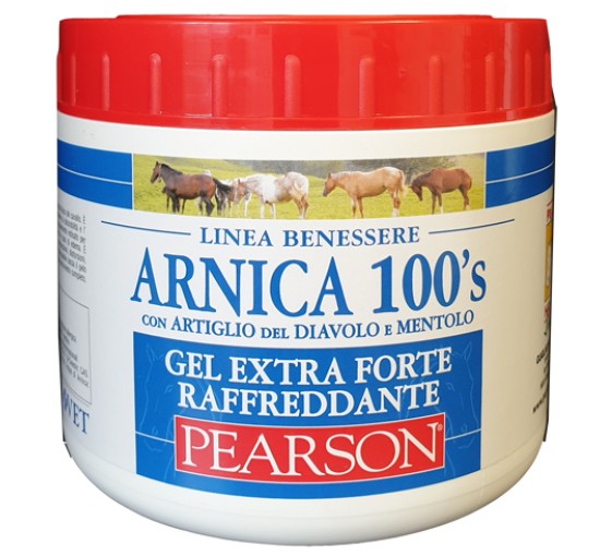 ARNICA 100 S GEL EX FT RAFF500