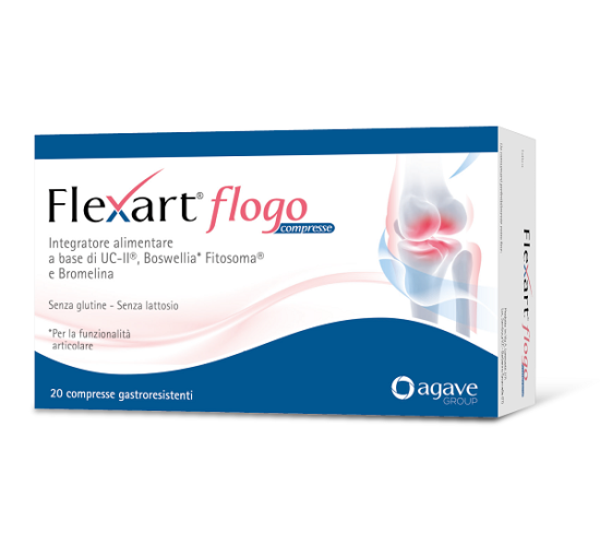 FLEXART FLOGO 20CPR