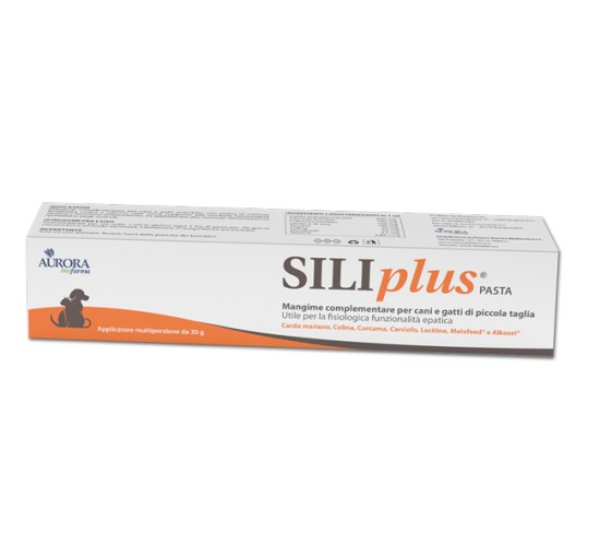 SILIPLUS PASTA 30G