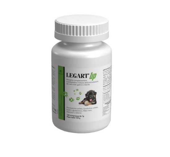 LEGART UP 120CPR