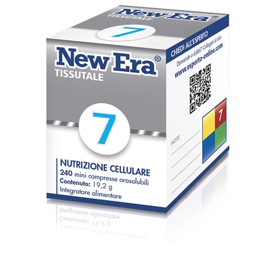 NEW ERA 7 240GR NEW ERA 7 240GR