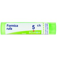 FORMICA RUFA 5CH GR 4G
